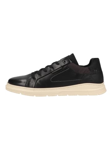 Bullboxer Sneaker in Schwarz