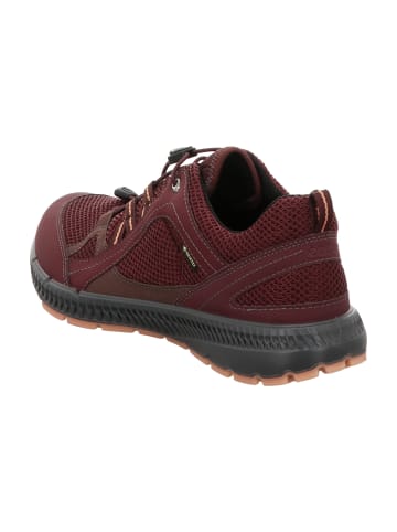 Ecco Wander- & Bergschuhe in Rot