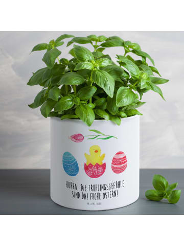 Mr. & Mrs. Panda Blumenkübel Küken Schlüpfen mit Spruch in Weiß