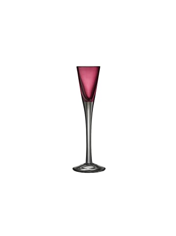 Lyngby Glas Schnappsglas Classic in Sortierte Farben