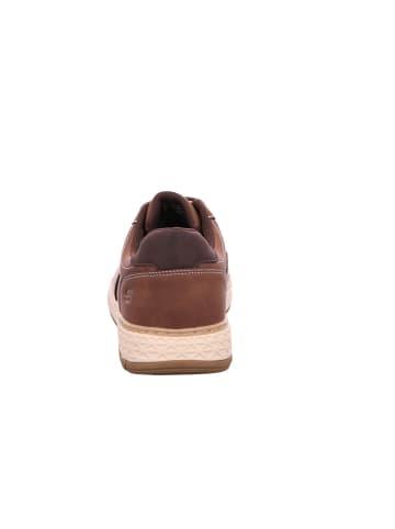 Skechers Schnürschuhe GARLAN in brown