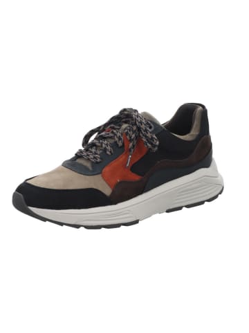 Xsensible Sneaker in bunt