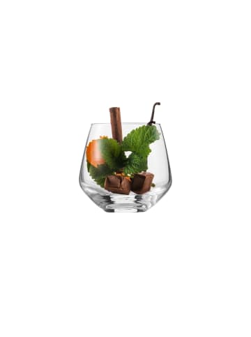 Eisch 2er Set Whiskygläser Sky SensisPlus 390 ml in transparent