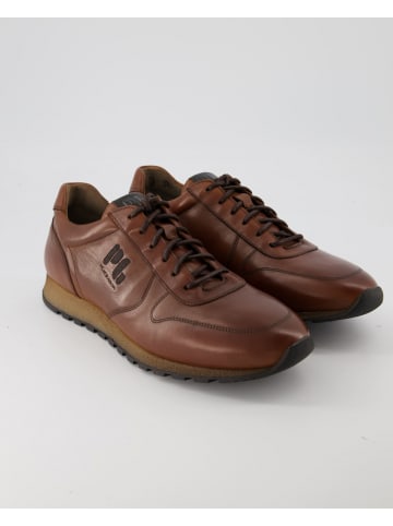 Pius Gabor Sneaker low in Braun