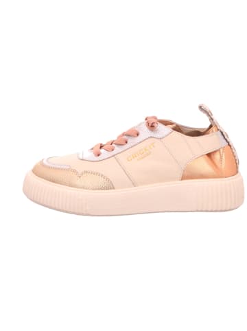 CRICKIT Schnürschuh in beige