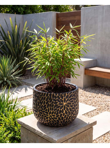 Beliani Outdoor Blumentopf VENTINA in Schwarz/Gold - (W) 54 x (H) 40 x (L) 54 cm