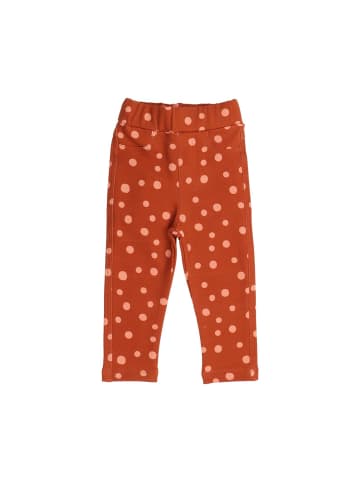 Walkiddy Leggings Brown Dots-Sweat Leggings