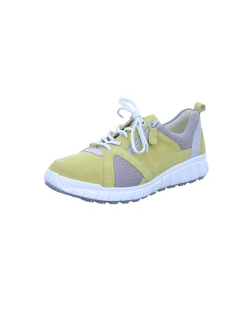 Ganter Sneaker in banana