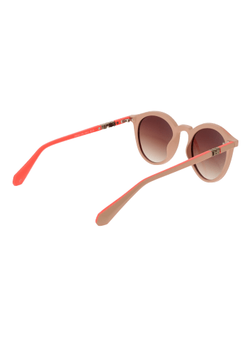 Superdry Damen Sonnenbrillen Panto Rose