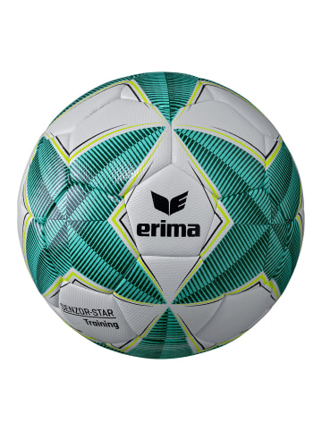 erima Senzor Star Training Fußball in aqua/evergreen