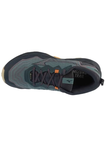 Mizuno Mizuno Wave Daichi 9 GTX in Grau