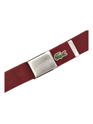 Lacoste Gürtel in Espresso