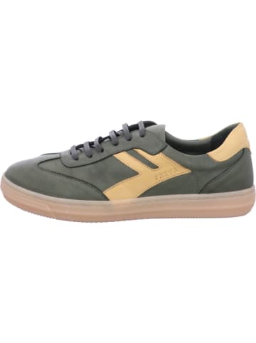 Andrea Conti Sneaker Low in grün