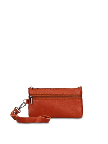 Chiara Ferretti Geldbörse in BROWN