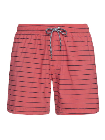 Protest " SHARIF in Deep Coral