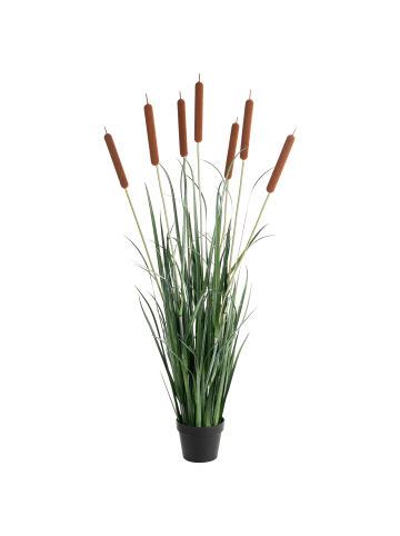 Beliani Kunstpflanze BULRUSH in Grün/Braun - (W) 30 x (H) 135 x (L) 30 cm