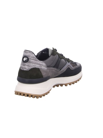 Floris van Bommel Schnürschuh in grün