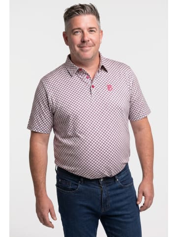 Boston Park Poloshirt in dunkles kitt