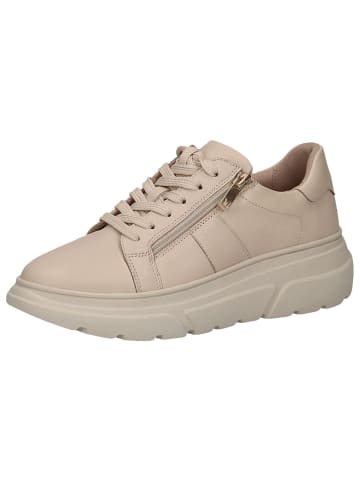 Caprice Sneaker in OFFWHITE SOFT