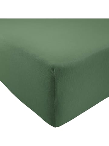 REDBEST Single-Jersey Spannbettlaken Pittsburgh in oliv