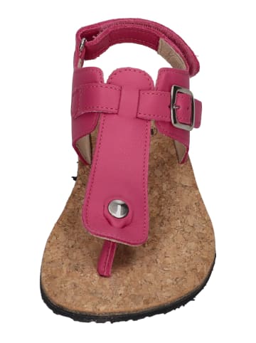 KOEL Sandalen ABRIANA NAPPA  in rosa