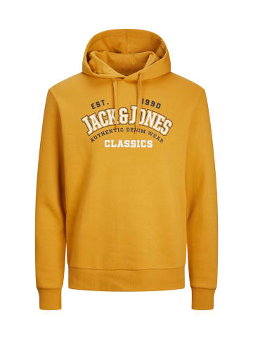 Jack & Jones Hoodie 'Logo2 Col' in gelb