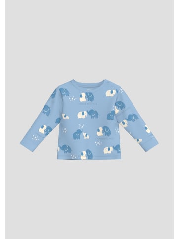 s.Oliver T-Shirt in 52A2_blassblau