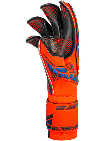 Reusch Torwarthandschuh Attrakt Gold X Evolution GluePrint in 2211 orng/blue/blck