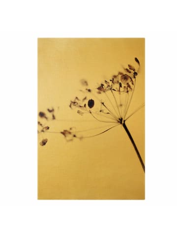 WALLART Leinwandbild Gold - Makroaufnahme Trockenblume im Schatten in Creme-Beige