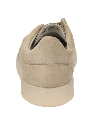 Sioux Schnürschuh Tedrino-701 in beige