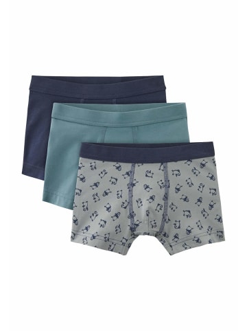 Hessnatur Jungen Pants Regular Cut 3er-Pack in sturmblau