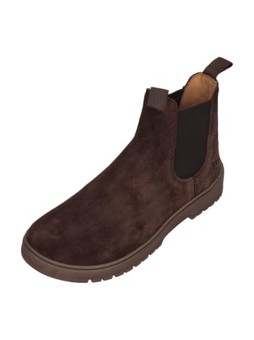 KOEL Chelsea Boots GAVIEN SUEDE in braun