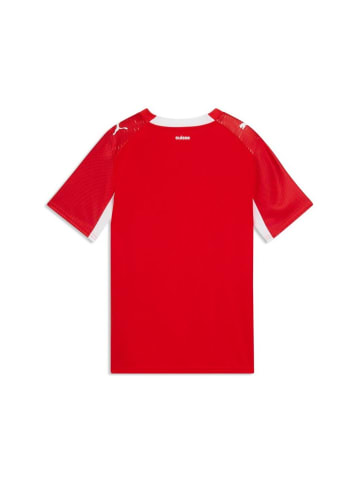 Puma Shirt "Sfv Home Jersey Replica JR" in Rot