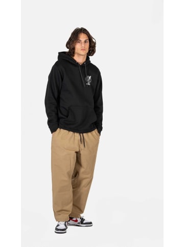 Reell Hoodie in Schwarz