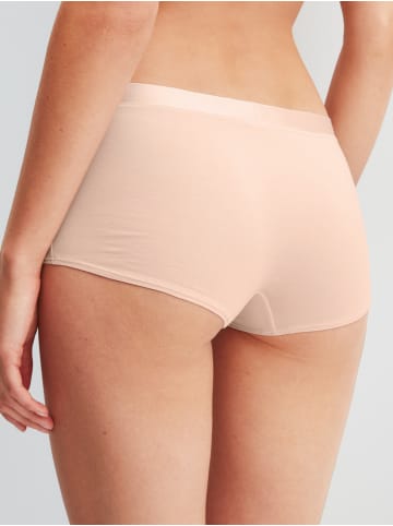 Calida Panty in parfait pink
