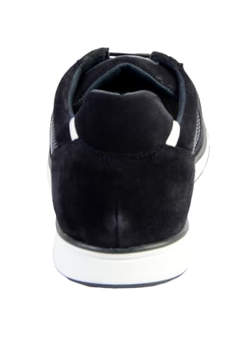 Redskins Sneakers Geschenk Blau