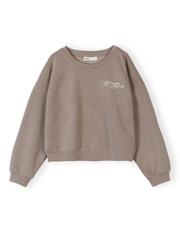 Minoti Rundhalspullover 30SCUBA301 in Braun