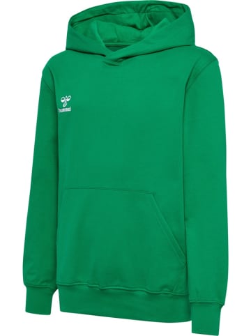 Hummel Kinder Sweatshirt "Hmlgo 2.0 Hoodie Kids" in Multicolor