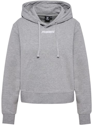 Hummel Hoodie "Hmlelemental Short Hoodie Woman" in Grau