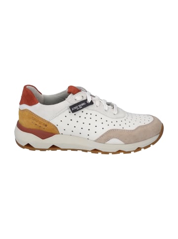 Josef Seibel Sneaker Jonah 02 in beige-multi