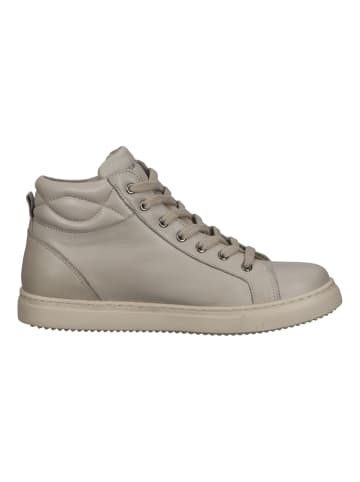 Hush Puppies Sneaker in Beige