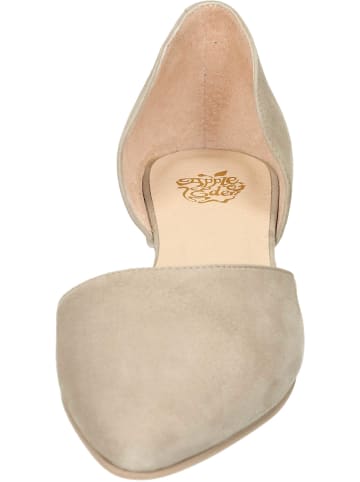 Apple of Eden Slipper in taupe