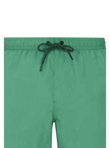 Protest " Faster in Cactus Green