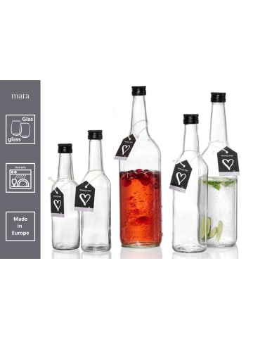 Ritzenhoff & Breker 6er Set Flaschen Mara 250 ml in transparent