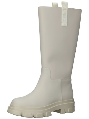 Steve Madden Stiefel in Bone