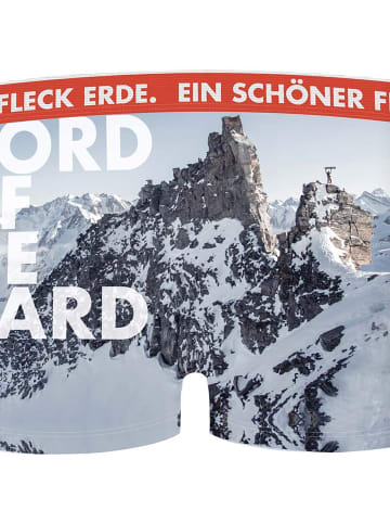 EIN SCHÖNER FLECK ERDE M LORD OF THE BOARD BOXER in Dunkelgrau