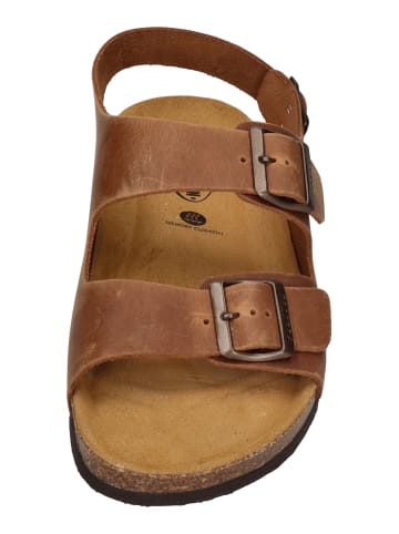 Plakton Sandalen BAKU in braun