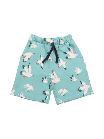 Walkiddy Shorts Seagulls-Shorts