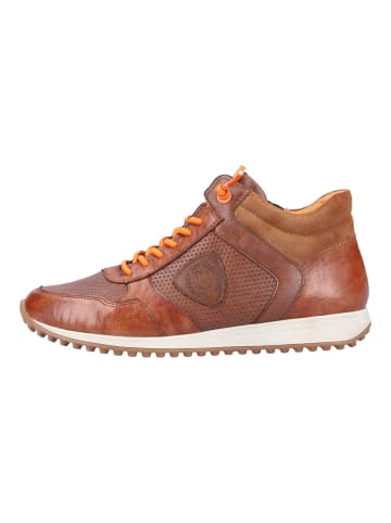 remonte Sneaker in Chestnut