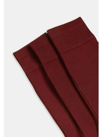 DillySocks 3er-Pack Socken One Color Smooth in Smooth Wine Red